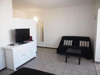 MIRAMAR 38C - Roses - 9