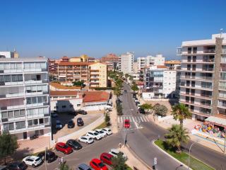 MIRAMAR 38C - Roses - 8