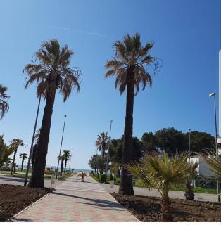 Amaris Apartments - Durazzo - 9