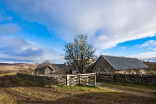 Clashindeugle Farmhouse & Annex - 8