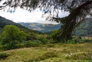 Am Bothan - Lochearnhead - 2