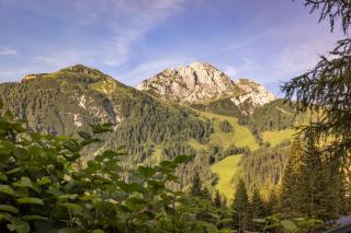 Almhütten Sonnblick & Almfried - Sonnenalpe Nassfeld - 4
