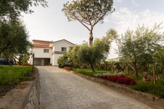 La Gesina B&B - Piano di Sorrento - 9