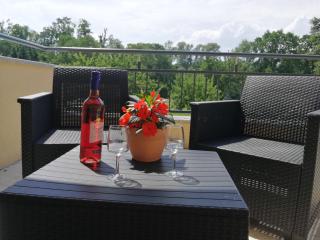 Pension Schlossblick Thallwitz - Thallwitz - 9