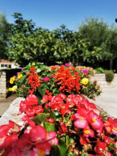 Rooms Silvana - Umag - 8