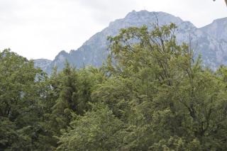 Classic Mountain Bușteni - 6
