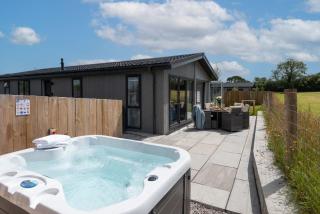 Lavender Lodge, 8 Roadford Lake Lodges - 7