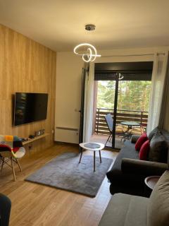 Vila Pekovic Blue-Apartman PAMA - Zlatibor - 4