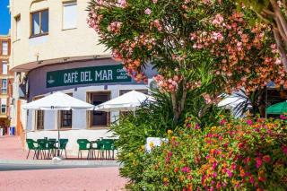 Dos terrazas - Torrevieja - 1