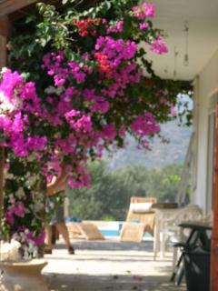 Villa Frangipani with large private pool, Rhodes - Lardos - 8