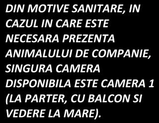 Black Sea View Costinesti - 7