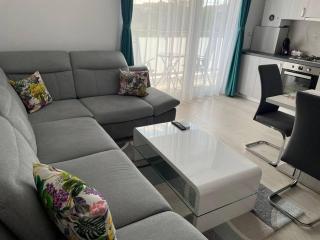 REBREANU RESIDENCE LUX APARTMEN - Timişoara - 0