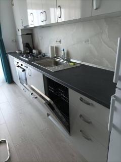 REBREANU RESIDENCE LUX APARTMEN - Timişoara - 1