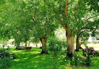 Casa rural con jardín privado! - Navata - 2