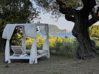 Villa Anta house by the sea - Lithakia - 1
