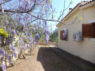 Olive grove Cottage-Hermioni,Hydra,Spetses &Poros - 3