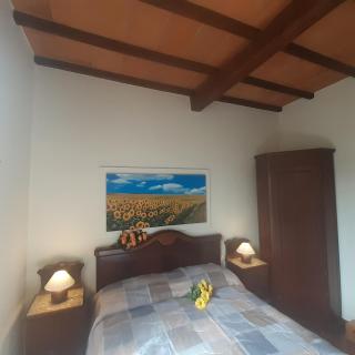 Villa Le Palmine - 1