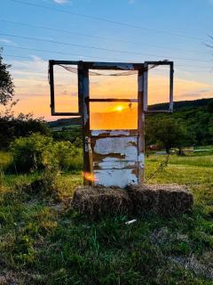 Glamping Glow Garden - - 5