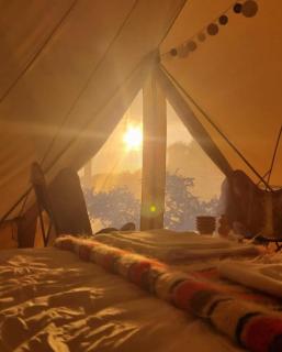 Glamping Glow Garden - - 9