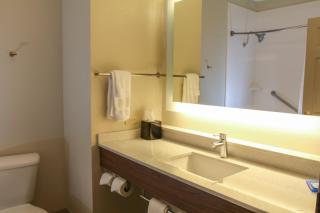 Holiday Inn Express Hotel & Suites Mount Pleasant by IHG - Mount Pleasant - 1