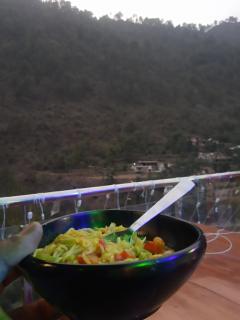 LA SIESTA INDIA CHAMBA -(HOTEL HAVEN AND HILLS) - 3