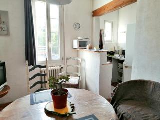 Appartement charmant à La Seyne-sur-Mer 44 m² avec terrasse - La Seyne-sur-Mer - 7
