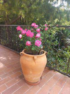CHAMBRE dans Villa Charmant jardin - 3
