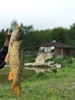 Диброва - Dibrova - 4