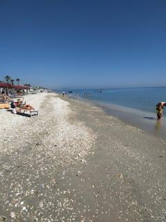 LA PERLA SUL MARE - Porto SantʼElpidio - 5