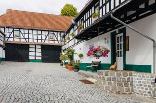 Thüringer Tannenhof Ferienwohnungen - - 9