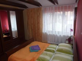 Luxury Large Apartment 21 - Košice - 7