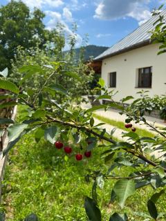 Casa Ana Corbșori - Corbşori - 7