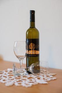 Guesthouse Pavla - Goveđari - 7
