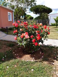 appartement indépendant à 10min des plages au calme proche O'gliss et O'funparken campagne - La Jonchère - 9
