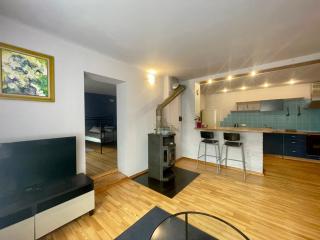 Park apartment - Kaunas - 6