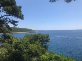VILLA HOLIDAY - Banjole - 4