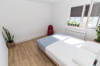 Apartamentul cu plante Etaj 4 - Mangalia - 9