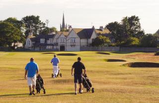 Grey Harlings Rooms - Montrose - 1