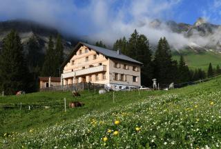 Edelweiß am Öberle - Au im Bregenzerwald - 5