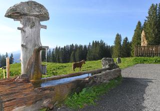 Edelweiß am Öberle - 3