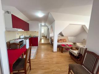 Apartmani Djokić sa bazenom - Soko Banja - 1