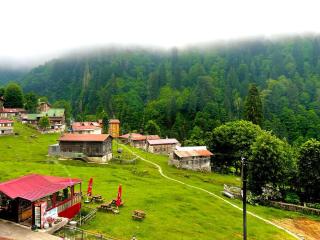 Ayder Vesile Otel - Ayder Yaylasi - 2