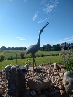 Dom pod Srebrnym Żurawiem - 9