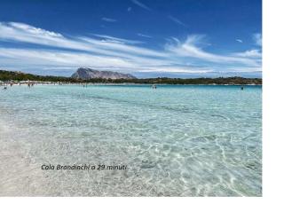 APPARTAMENTO CORALLO with PRIVATE GARDEN - Olbia - 9