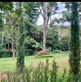 Altagracia - San Gil - 3