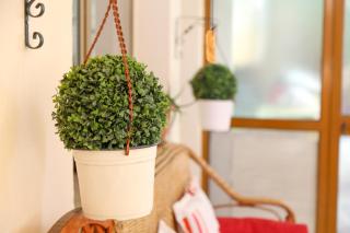 ''Garden of Happiness'' Apartment - Tirana - 8