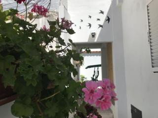 Casa dos Capinha - Caldas da Rainha - 5