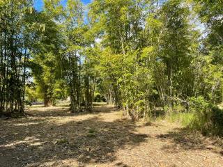 GSM Bamboo Farm RV and Caravan site - 2