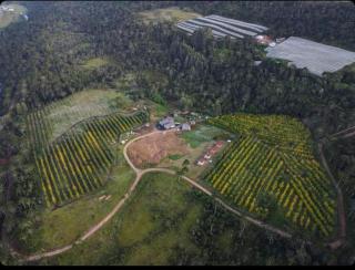 Cabanas Sol Poente - 7