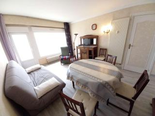 Appartement Front de Mer avec Terrasse - 2 Chambres, Animaux Acceptés - FR-1-674-16 - Berck-sur-Mer - 7
